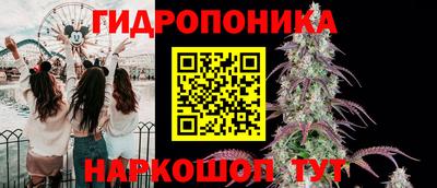 молекула духа Коммунар