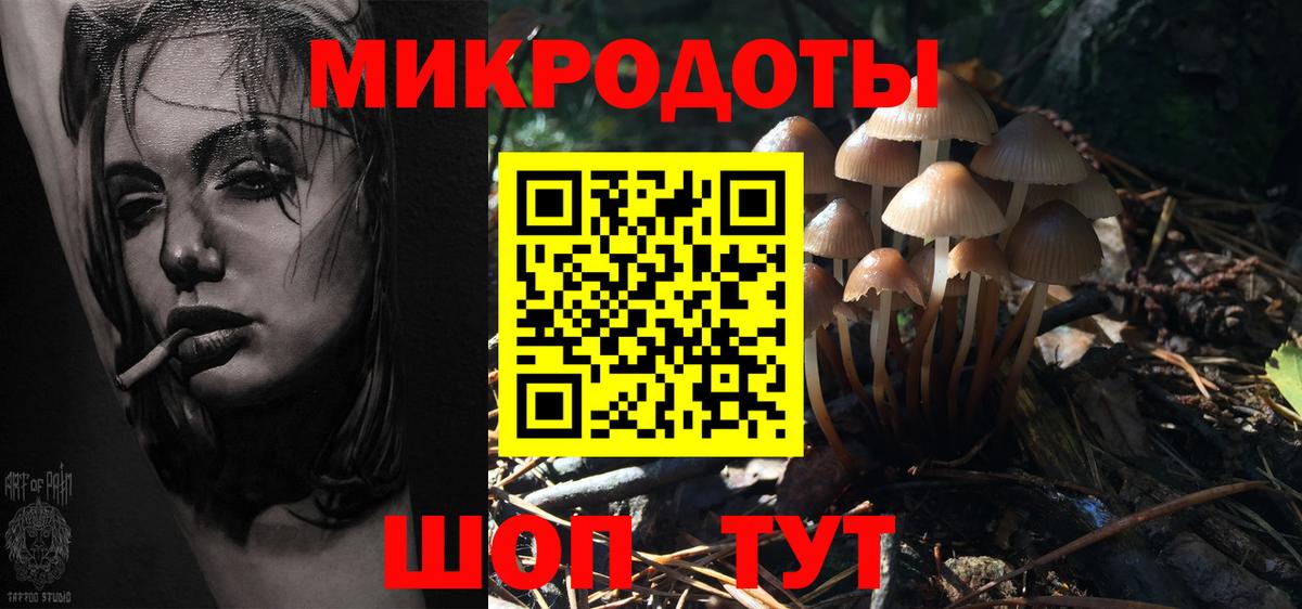 Псилоцибиновые грибы мицелий Киров