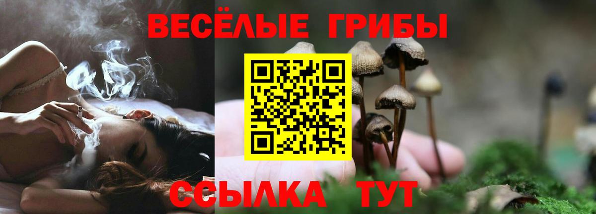 Псилоцибиновые грибы Psilocybine cubensis  Галлюциногенные грибы Cubensis  Вход с VPN  Киров 